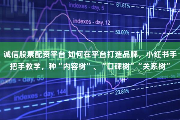 诚信股票配资平台 如何在平台打造品牌，小红书手把手教学，种“内容树”、“口碑树”“关系树”