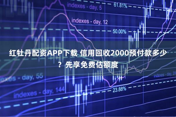 红牡丹配资APP下载 信用回收2000预付款多少？先享免费估额度
